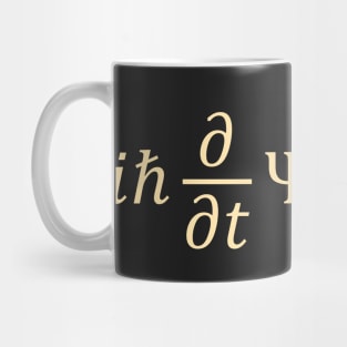 the Schrödinger Equation Mug